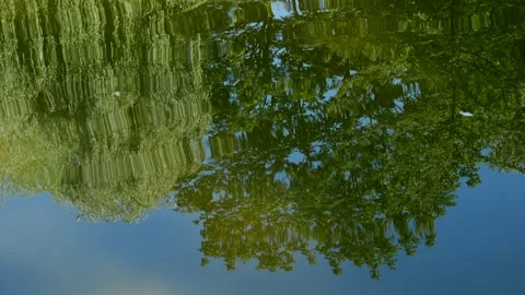 Reflections of light on the water Stock Footage 100402515