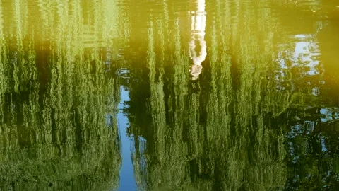 Reflections of light on the water Stock Footage 100403860