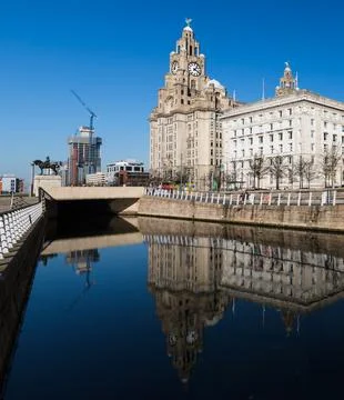 Reflections of the Liver Building Stock Photos