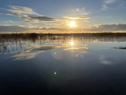 Reflections of a Low Winter Sun Stock Photos