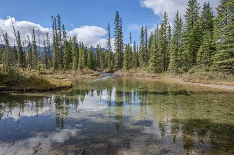 Reflections in a Mountain Pond Stock Photos