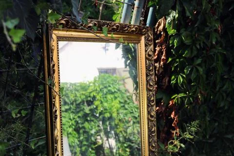 Reflections of Nature Fotos de archivo