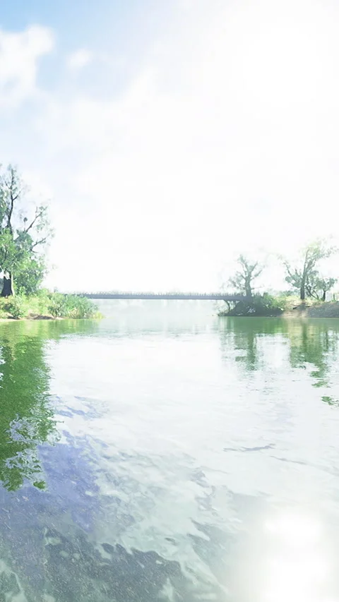 Reflections of nature under a bright sky by a serene lake in the afternoon Stock Footage 334244130