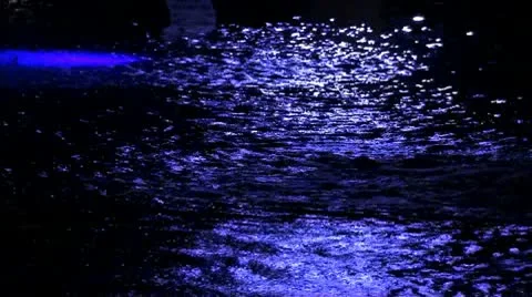 REFLECTIONS NIGHT Stock-Footage 10605214