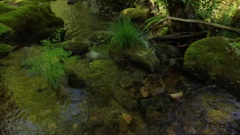 Reflections Over Clear Waterways Of Vixiáns In Covelo Stock Footage 339586726
