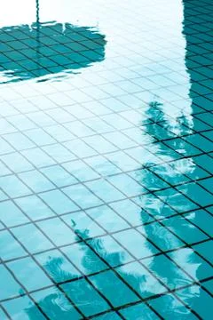 Reflections of Palm tree and umbrella in the water of swimming pool. Stock-Fotos