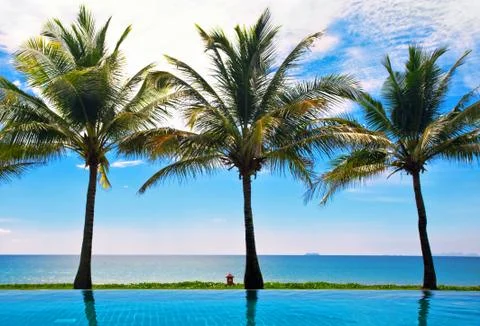 Reflections of palms Stock Photos