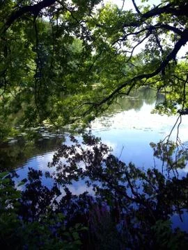 Reflections Stock Photos