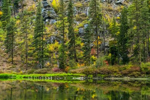 Reflections Stock Photos