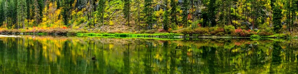 Reflections Stock Photos