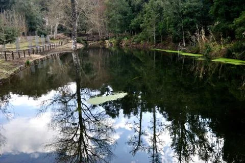 Reflections Stock-Fotos