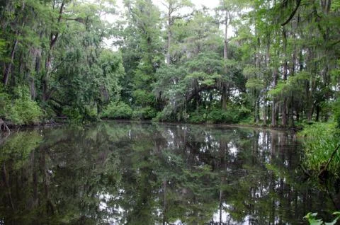 Reflections Stock Photos