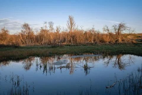 Reflections Stock Photos