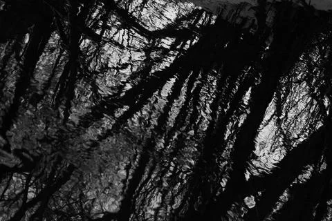 Reflections Stock Photos