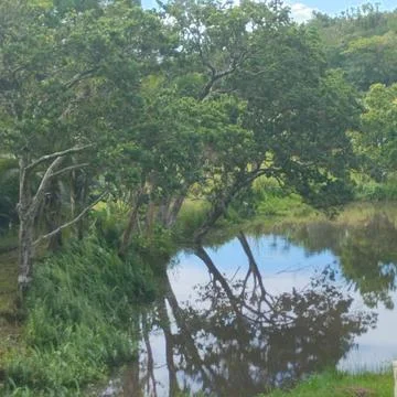 Reflections Stock Photos