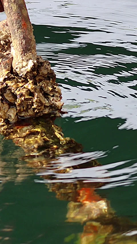 Reflections of pier mooring chain and geometric beauty of ripples, Vertical 库存影片 342480576
