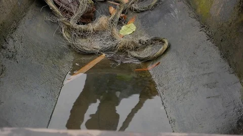 Reflections of the pirogue's driver in water Stock Footage 80970310