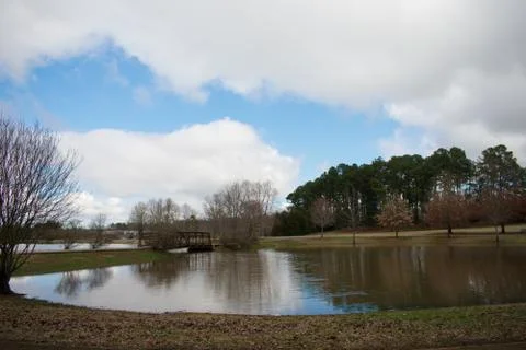 Reflections on a Pond on a Cloudy Day Stock Photos
