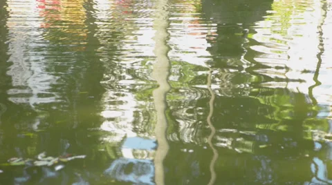 Reflections in the pond Stock Footage 32132326