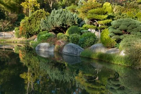 Reflections on a pond Stock Photos