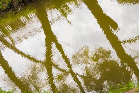 Reflections in the pond Stock Photos