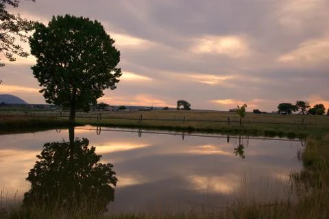 Reflections on the pond at sunset Stock Photos