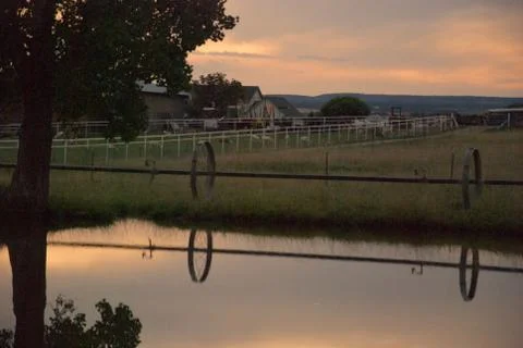 Reflections on pond- sunset Stock Photos