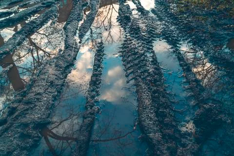 Reflections in a puddle with car tracks Foto stock