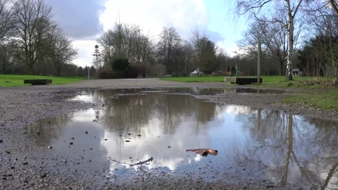 Reflections in a puddle Stock Footage 170655245