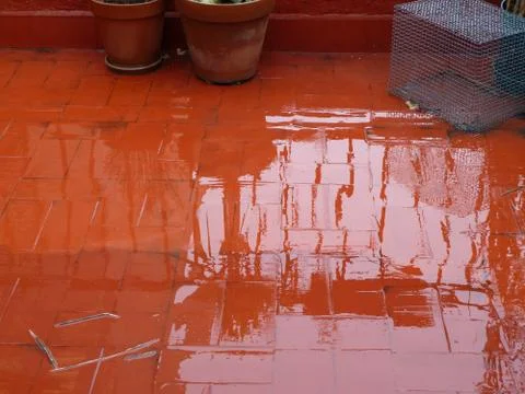 Reflections in a puddle Stock Photos