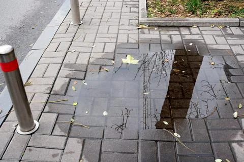 Reflections in a puddle on a quiet city sidewalk 写真素材