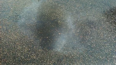 Reflections in a Puddle of Water on the Asphalt Stock Photos