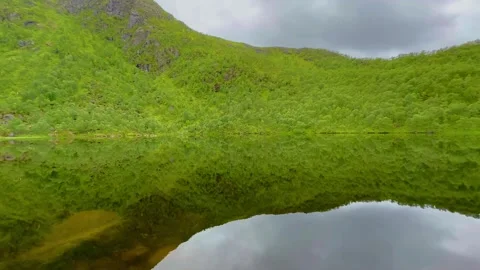 Reflections of a push Green forest in a tranquil lake in Norway Stock Footage 323441646