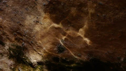 Reflections in the ravine of the moon Stock Footage 103055031