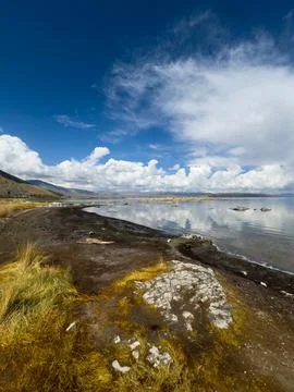 Reflections of remnants in smooth water. Unique mountain Mono Lake in California Stock Photos