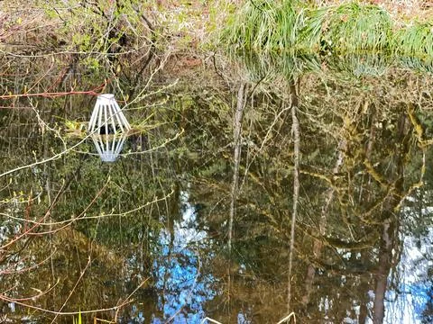 Reflections in the retention pond Stock Photos