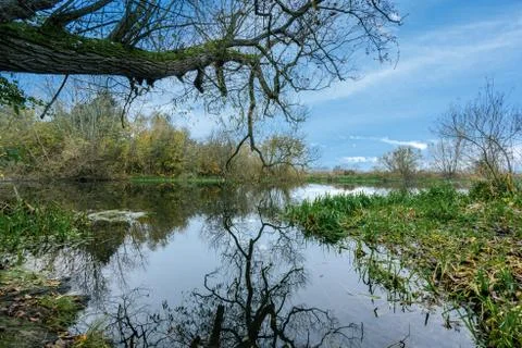 Reflections in a river with a blue sky in the background. Picture from Scania Stock Photos