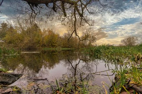 Reflections in a river with a dramatic sunset in the background. Picture from Stock Photos