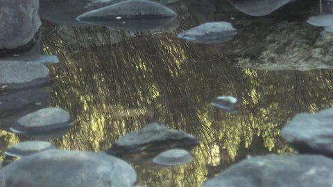 REFLECTIONS IN A RIVER 스톡 동영상 75010270