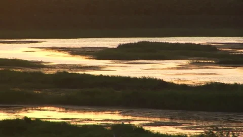 Reflections on river Stock Footage 93270881