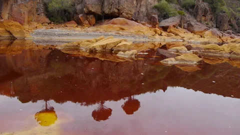 Reflections in the river Stock Footage 103057439