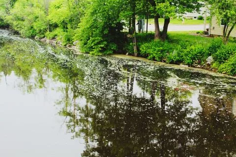 Reflections on the river. Stock Photos