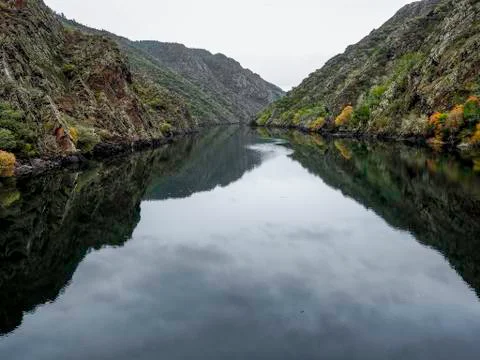 Reflections in the river Sil Photos