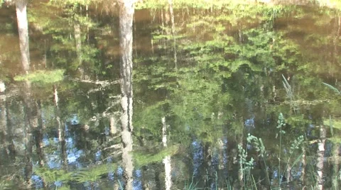 Reflections on River Surface Vidéo 8646907