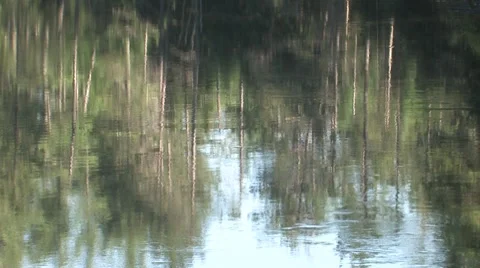 Reflections on River Surface 库存影片 8646911