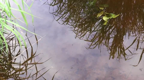 Reflections on river surface Stock Footage 64288082