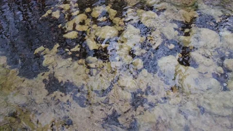 Reflections river trees. The slow movement of water. Stock Footage 220598105