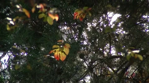 Reflections of the sea Stock Footage 8601311