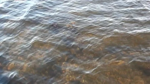 Reflections in the sea Stock Footage 44367161