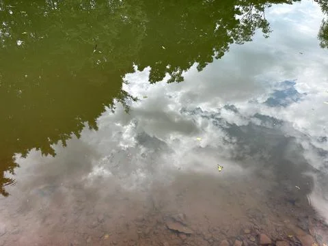 Reflections in the Serene Lake Stock Photos